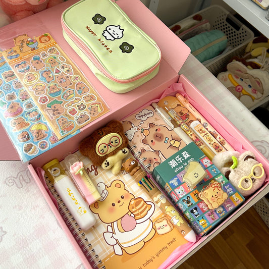 Caixa Presente Kawaii (12 artigos + 2 brindes)